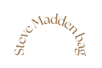 Steve Madden bag
